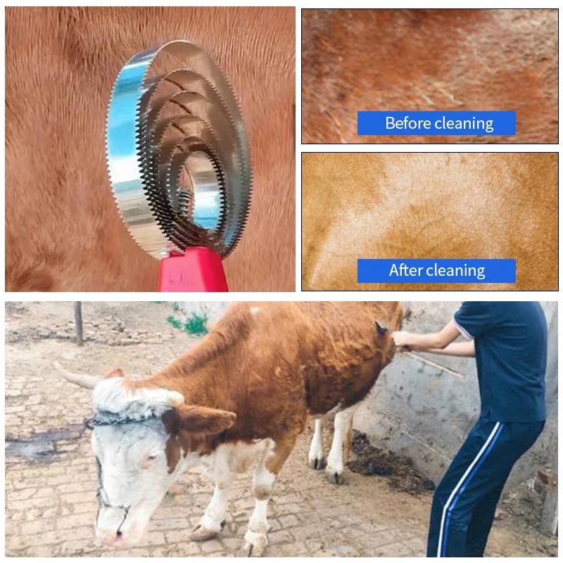 Horse reversible metal horse curry comb For animal grooming