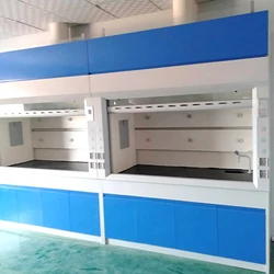Customized Laboratory Workbench Laboratory Equipment Lab Fume Hood Steel Storage Cabinet Wholesale