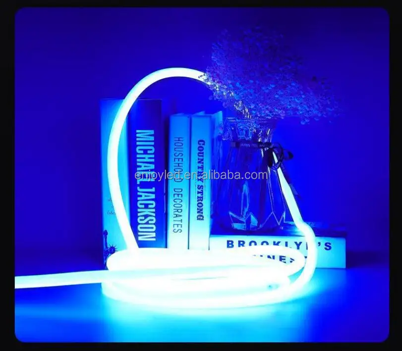 360 degree neon light -18.jpg