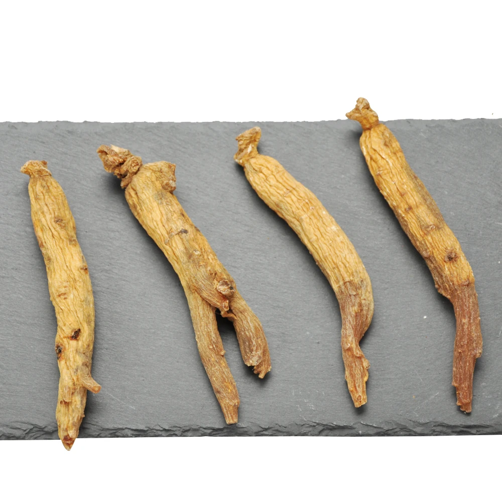 
Factory Price Panax Ginseng Korean Red Ginseng 6 Years Old Red Ginseng Root 