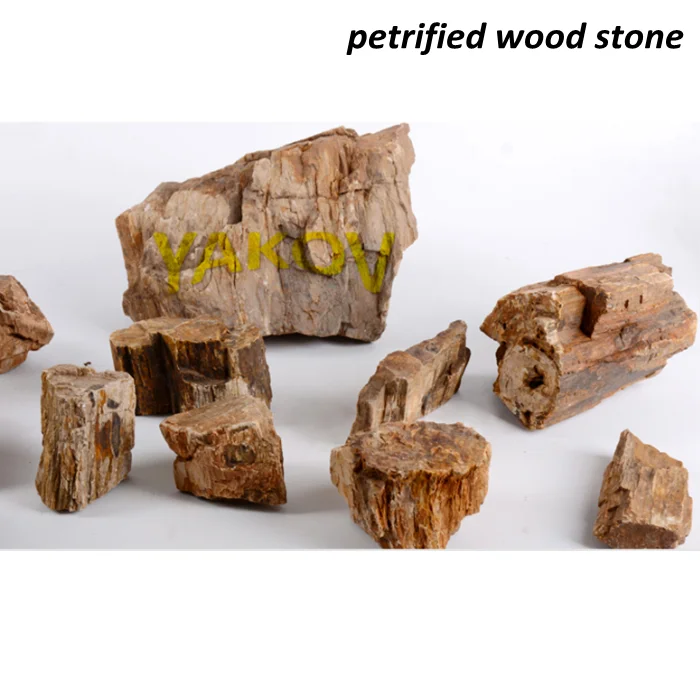 petrified wood stone.jpg