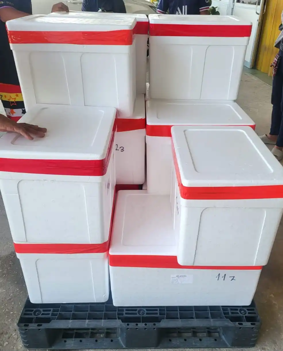 Thai Fruits and vegetables For Export Cheap Price And Quick Response With High Quality From Thailand