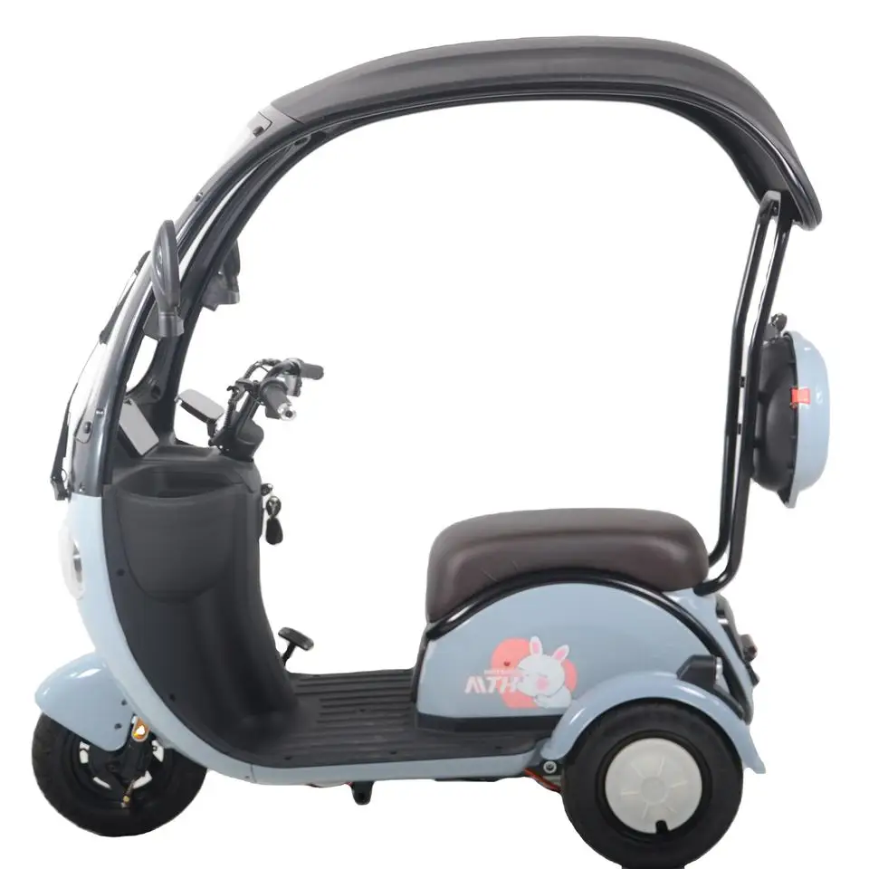 Cute Design Three Wheel Electric Tricycles Drum Brake With Roof Popular Scooter