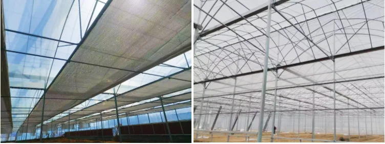 Large Commercial Greenhouses Agriculture Greenhouse
