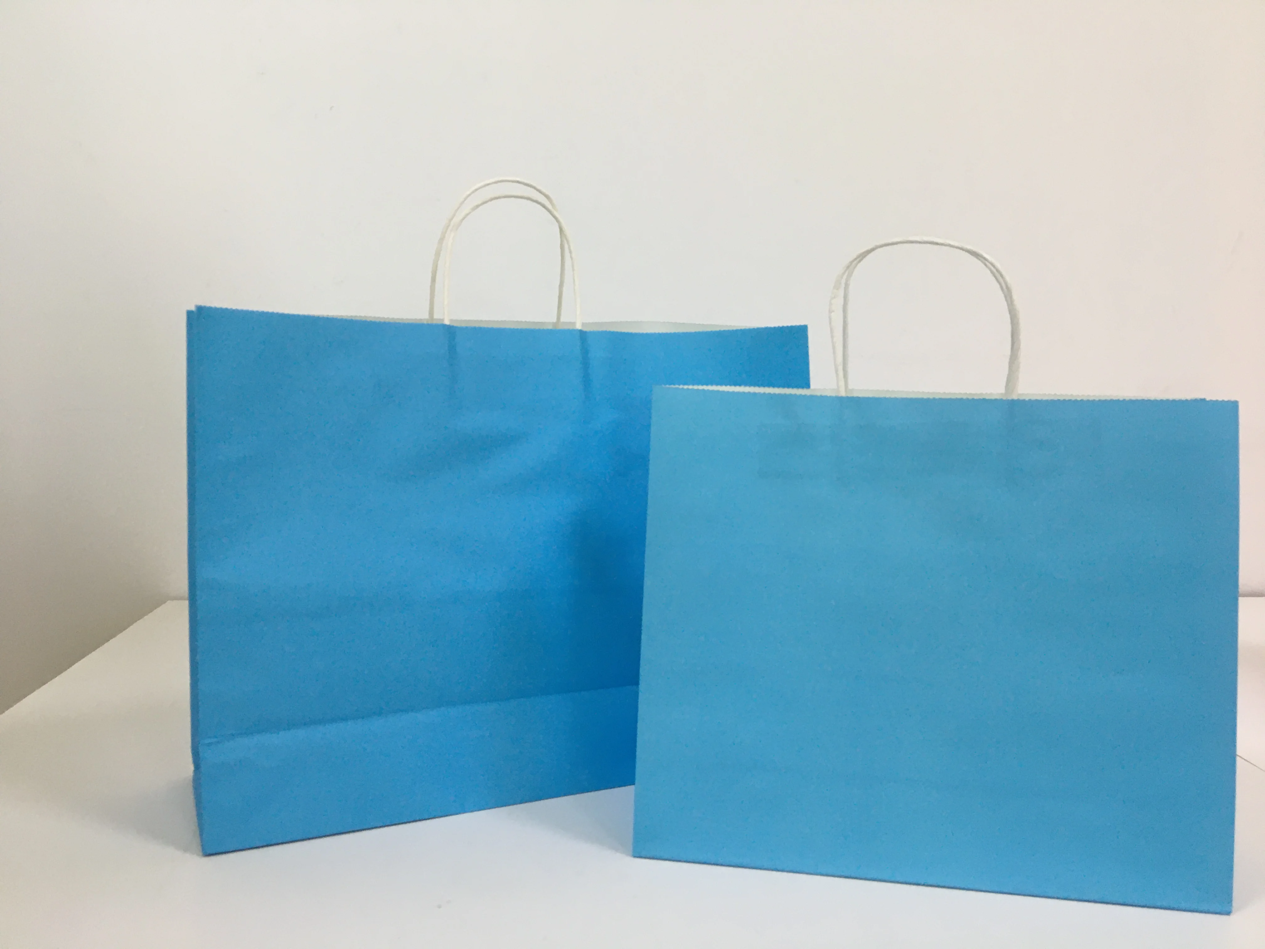 Factory Full color printed White And Brown Kraft Paper Twisted Handle Shopping Carrier Bag With Logo Printed