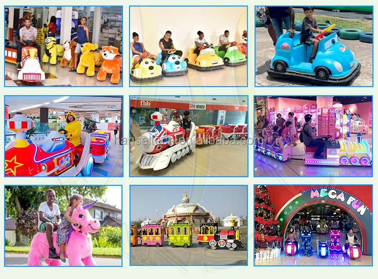 amusement ride customer-2