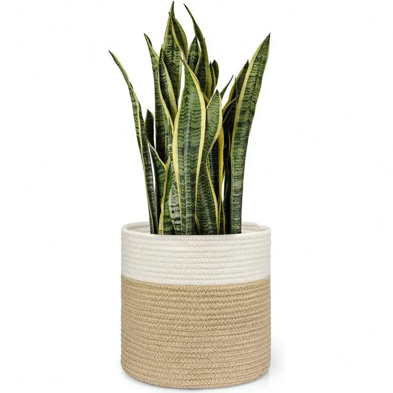 Cheap Price Eco friendly sea grass basket natural bali  mini  seagrass plant pot handmade straw storage basket for flower seagra