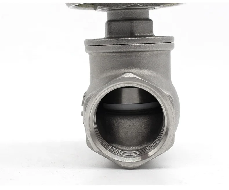 Cheaps Wholesale Stainless Steel Customize Single Flow High Temperature Resistant Threaded Check Valve For Water/Oil/Gas