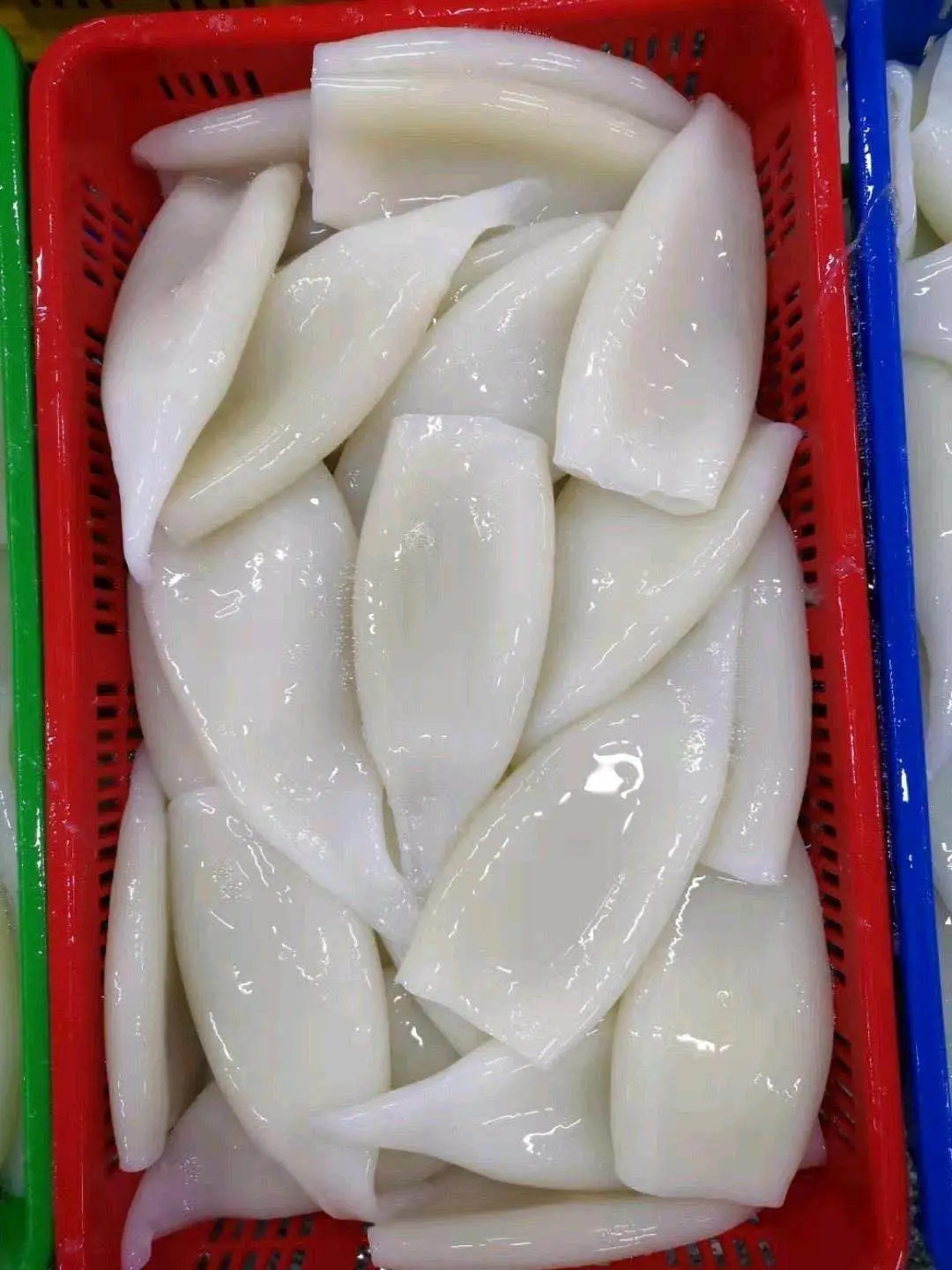 Good quality frozen illex squid tube skinless tip on