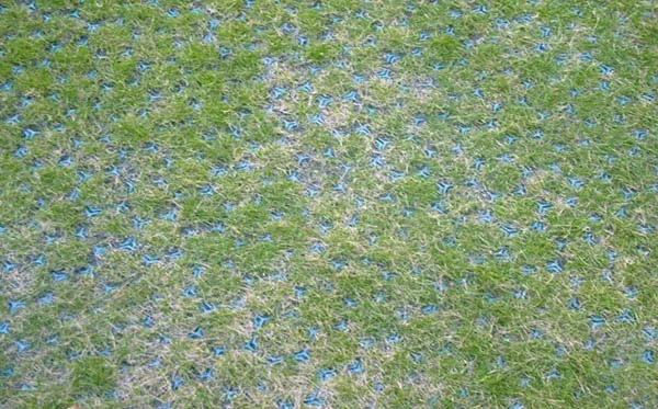 grass grid grass paver horse paddock grass grid