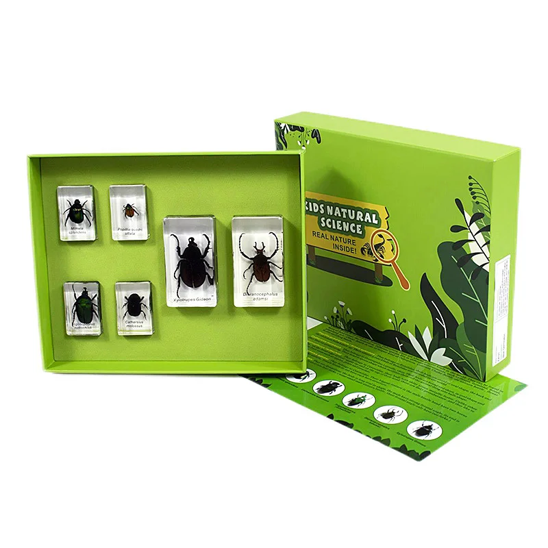 Коллекция насекомых, Мокасины, жуки из смолы, наборы искусственных поделок для выставки