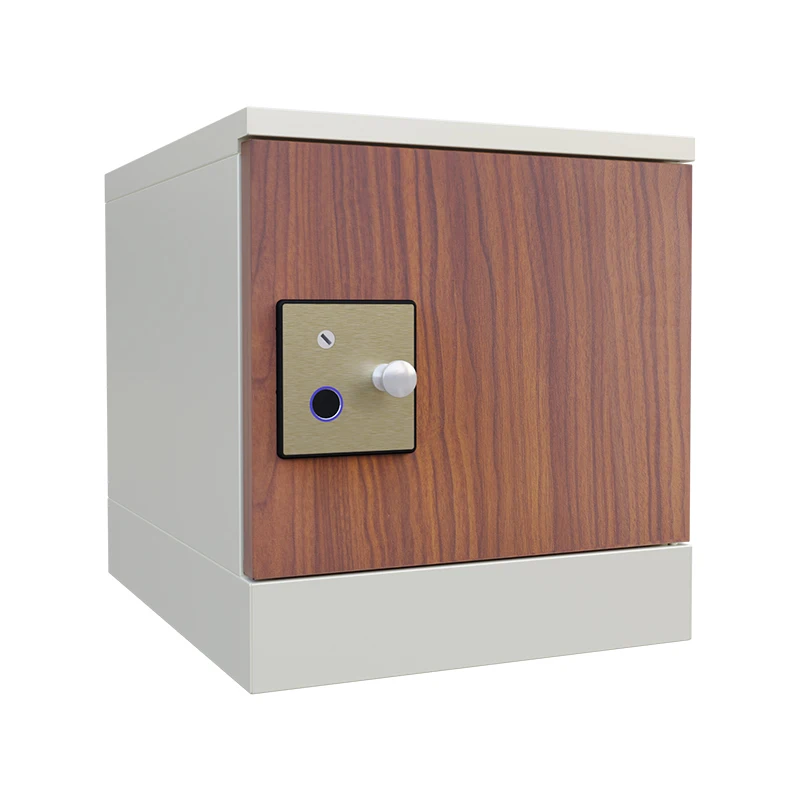 Customized Steel Locker Metal Recognition Electronic Cabinet Seaside Box Beach Container Intelligent Storage Self Serve Parcel