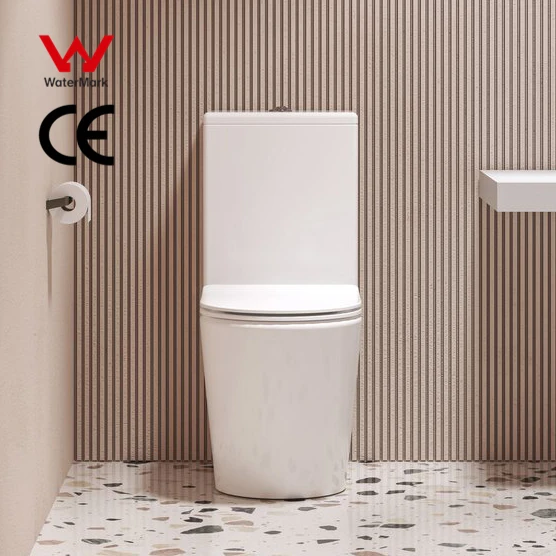 European Back to Wall Rimless Toilet Washdown Inodoro White Color Floor Mounted Two Piece Toilets for Sale