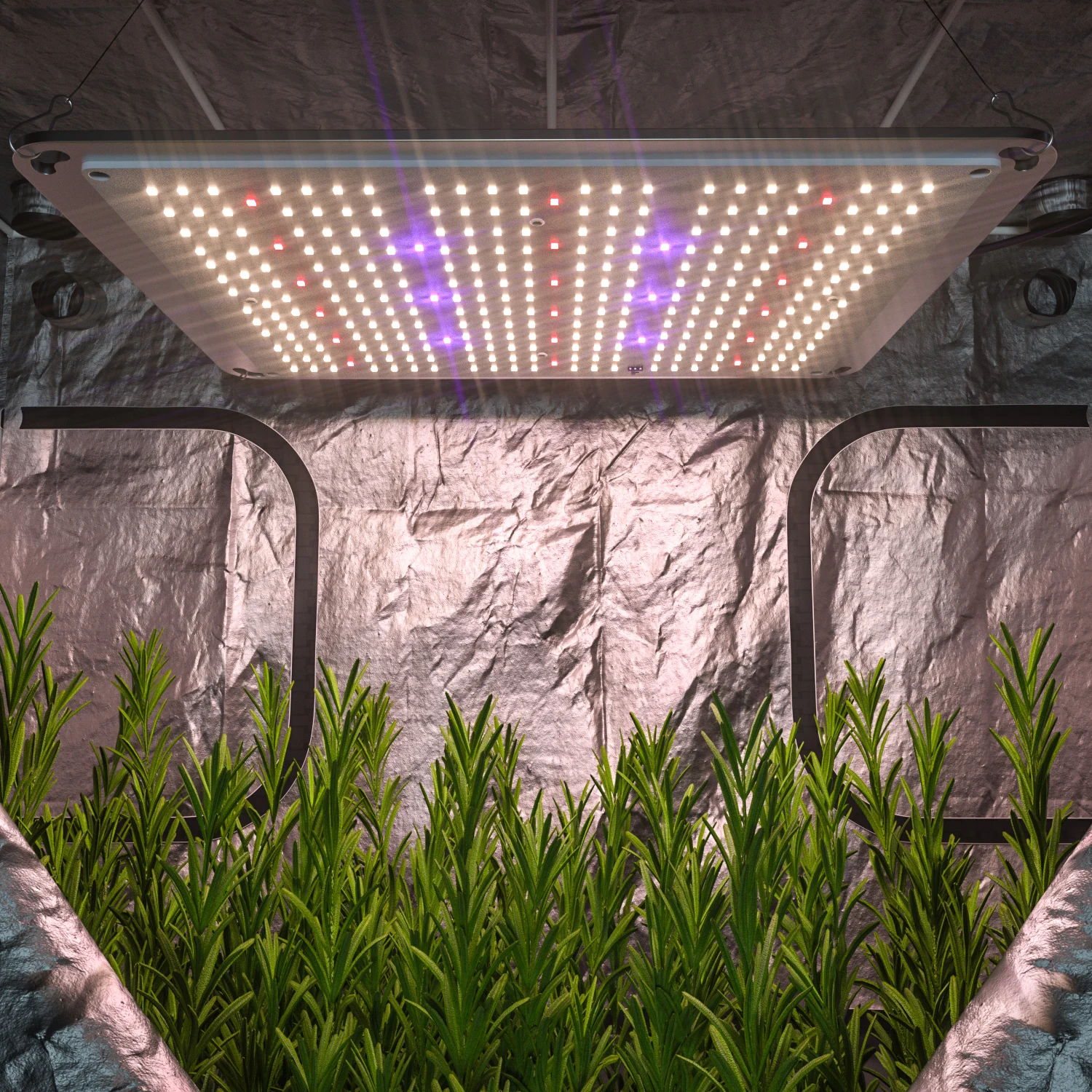 A 2021 Best Grow Light Lm301 Panneau Led Horticole Les Samsung Lm301B Led Grow Light 100W Uv Ir