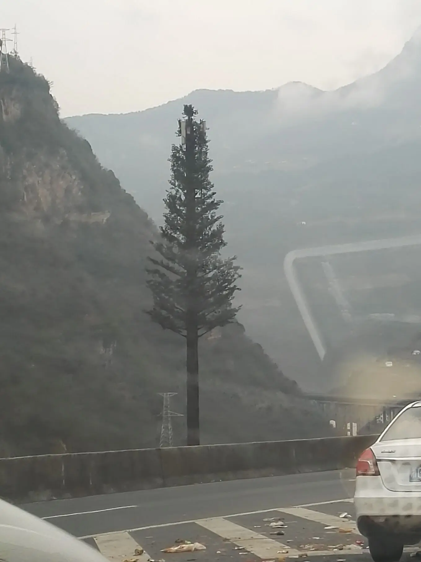 High Quality cell phone tower Pine tree mobile tower