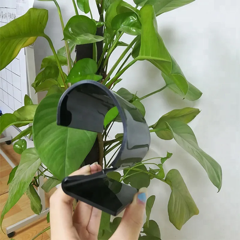 Clear Acrylic Watch Holder Stand Curve Double Watch Display Stand Bracelet Display Holder for Trade Counter