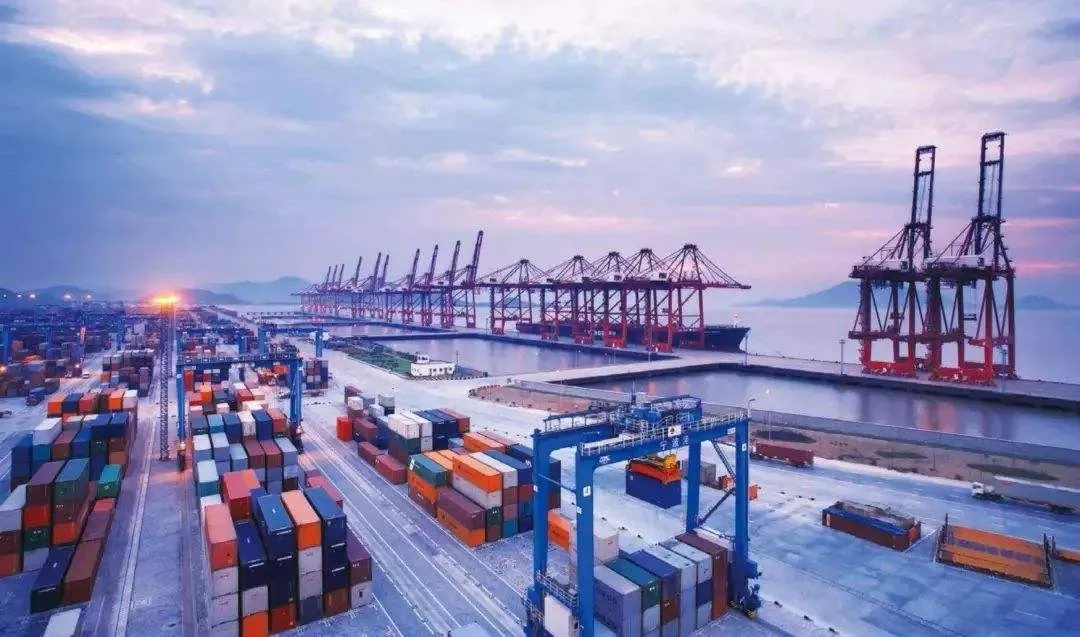 LCL FCL EXW FOB 20ft 40ft Full Container Load by Sea Shipping Freight Forwarder From China To All Over The World