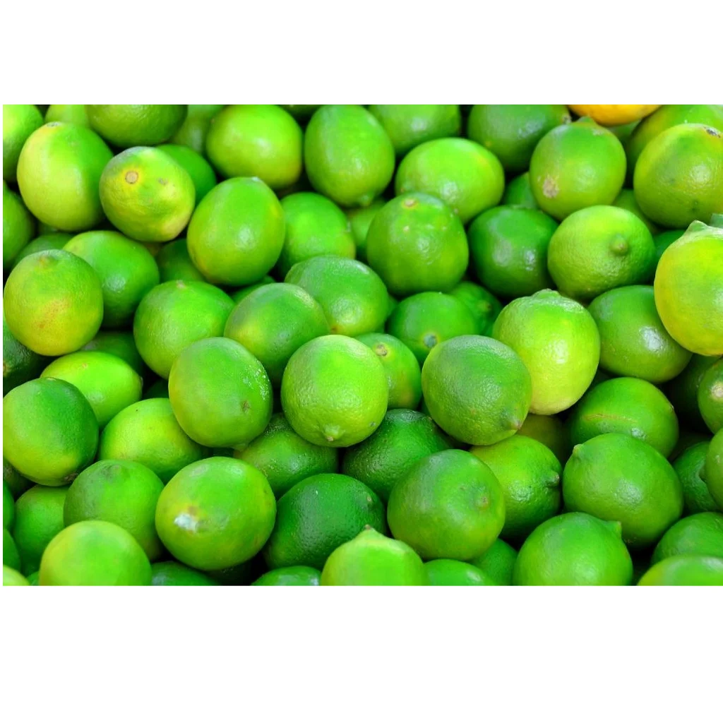 
Fresh green seedless lime and lemons from Vietnam for export (Ts Food) 
