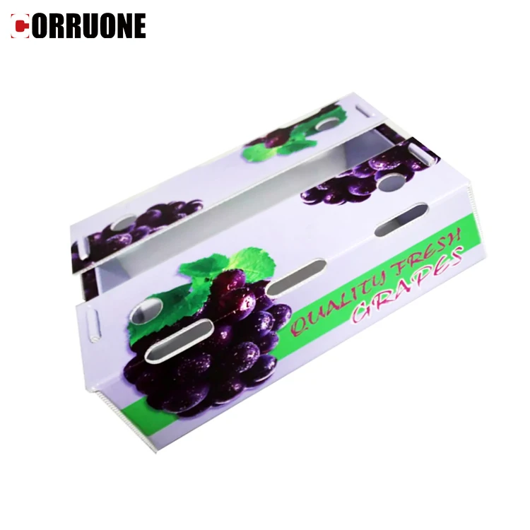 grape PP Corrugated Plastic Box for Vegetable and Fruit Box Corflute correx Corn broccoli and Agriculture Packing box