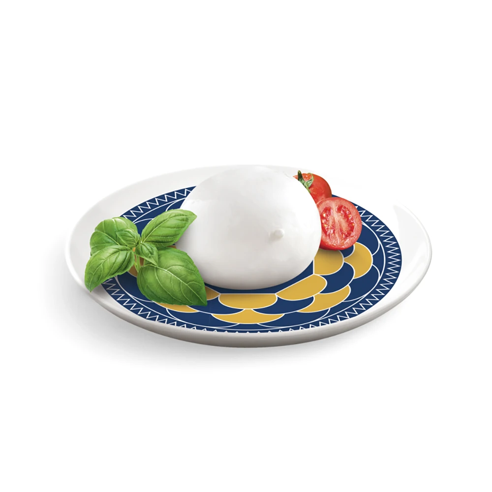 Made in Italy Online Wholesale High Quality Private Label Mozzarella 125G Fresh Cheese Cooked for Export