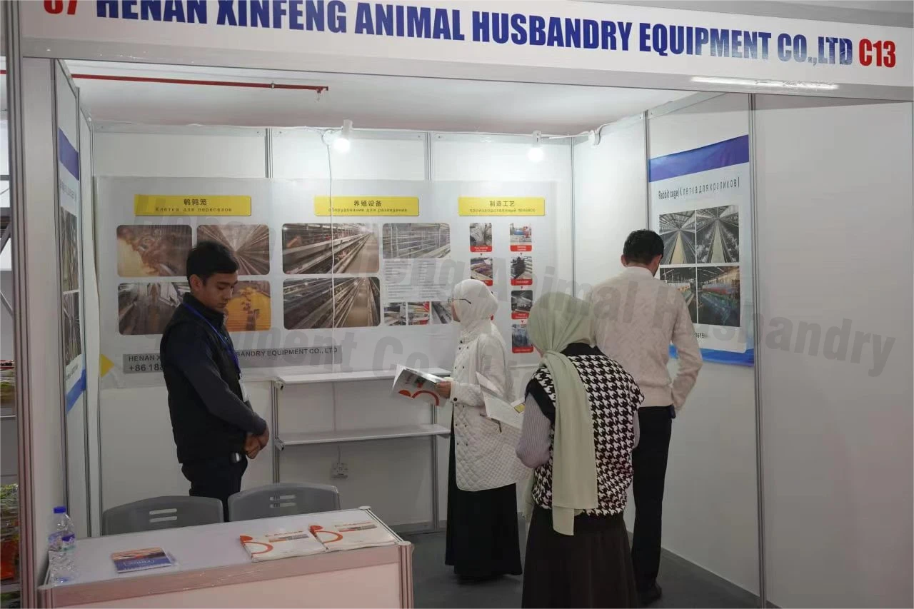 supplier fully automated incubator Chicken Egg Incubator for Hatching Eggs 20-100000 Eggs Capacity