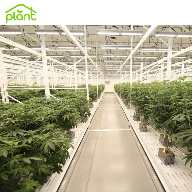 Commercial  New Type Metal Display Shelf and Rack Mobile Vertical Rolling Grow Rack