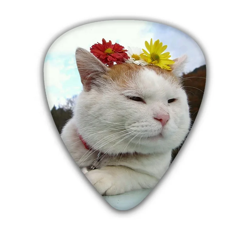 special design  0.71mm cute cat series acoustic Guitar Picks 6 designs for you chose