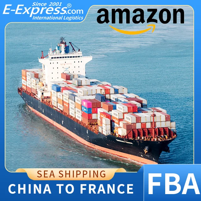 Excellent Ocean Shipping FBA Service From China To France Amazon By DDP With Good Price
