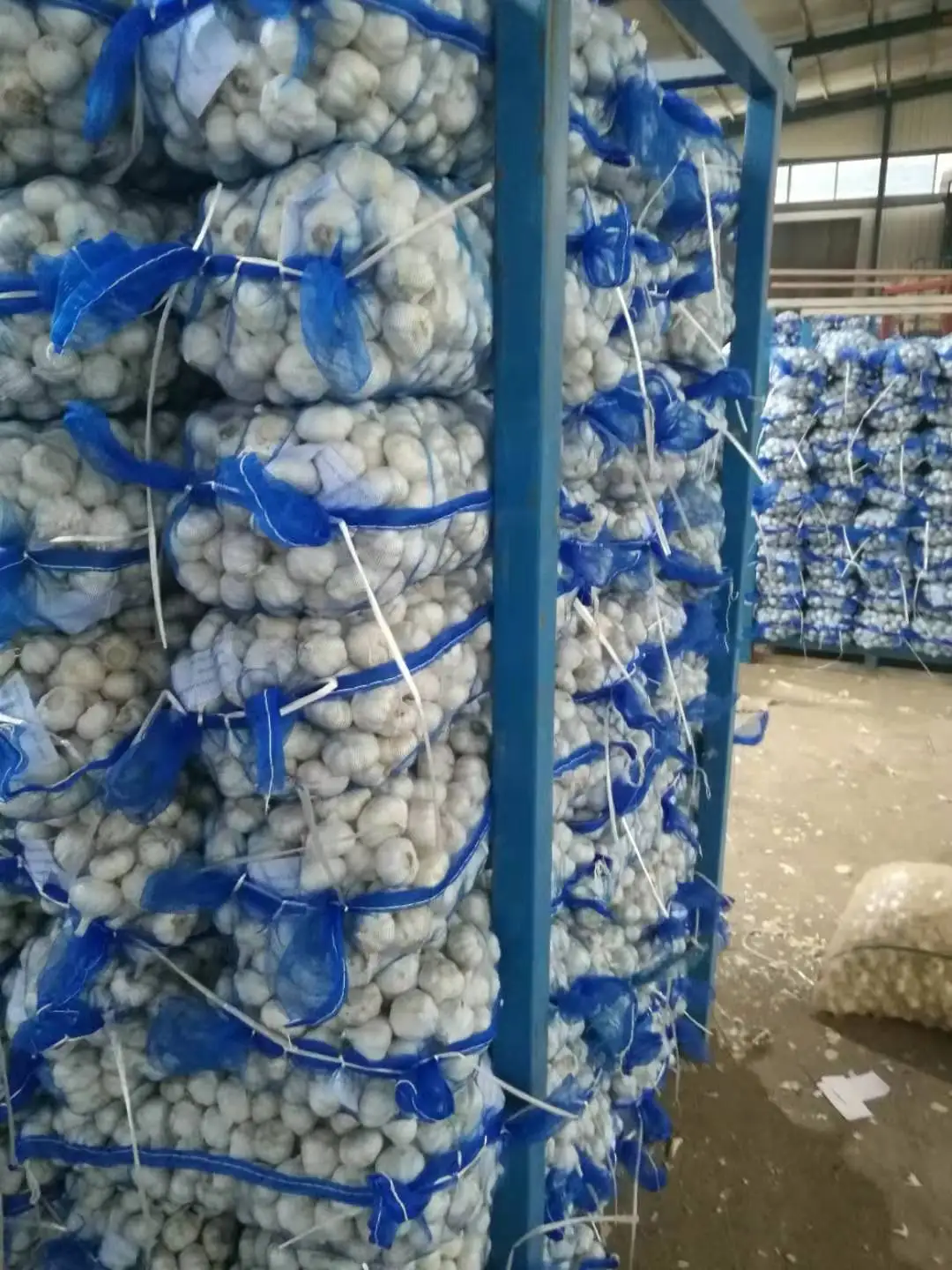 
2020 Pure White Fresh Garlic / Alho from Jin Xiang Liming 