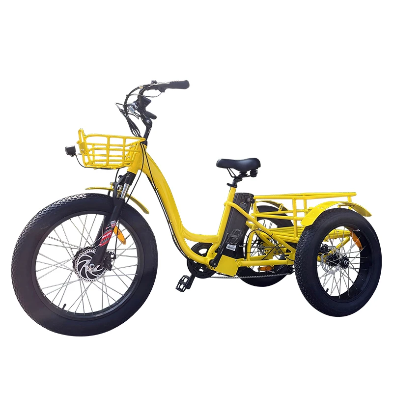 OEM China manufacturer 3 wheel electric bike 500w 750w electric tricycle for elder electric trike for old people