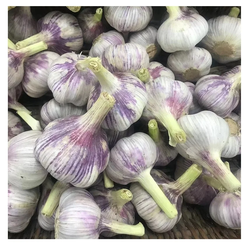 Оптовый 2023 чеснок или новый чеснок от прямой фабрики чеснока