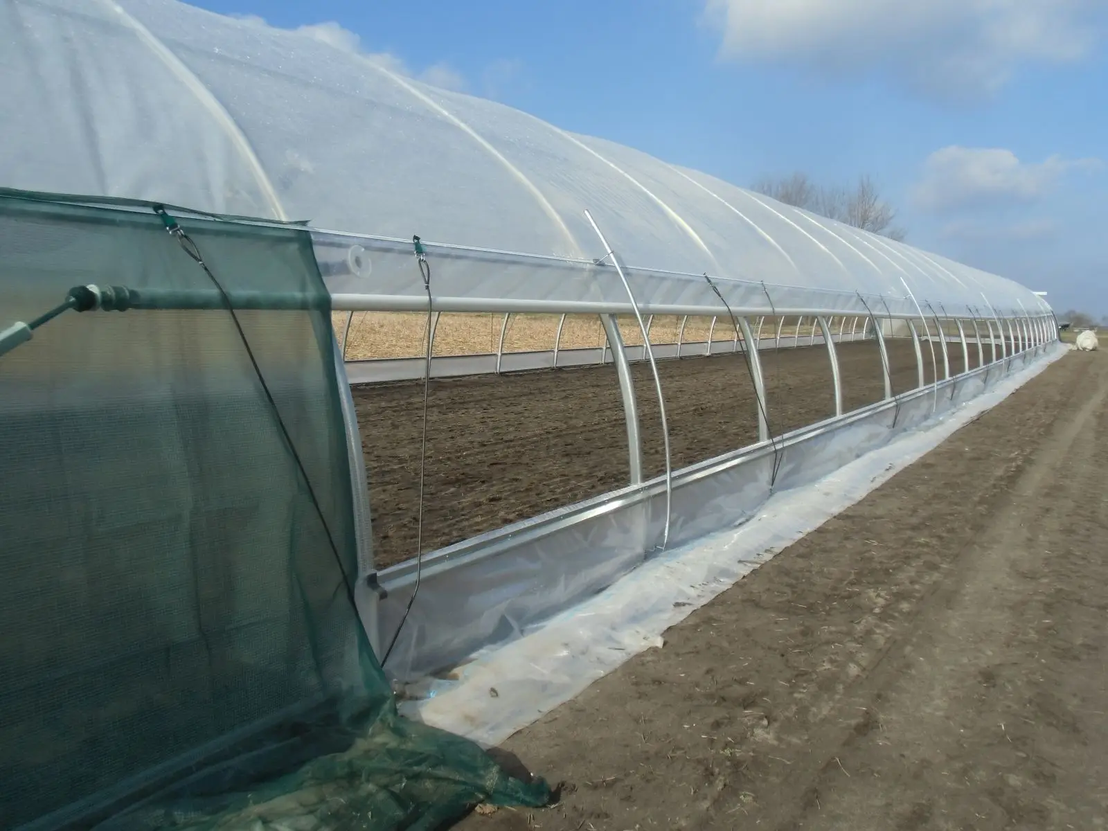 CUOYUEH Hot Sale Low Cost Tunnel Frame Single Span Pe Film Greenhouse Serre Agricole For Flowers Plant Agriculture Greenhouse