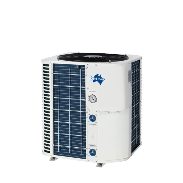 Modern Design Swimming Pool Heat Pump Air To Water Inverter Pool Heat Pump