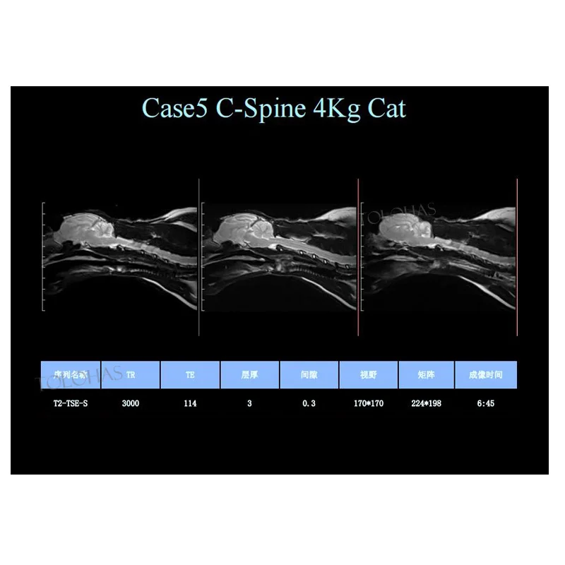 LHWMRI3 Medical 0.35T Vet Magnetic Resonance Imaging System Cat Dog MRI Scaning Machine