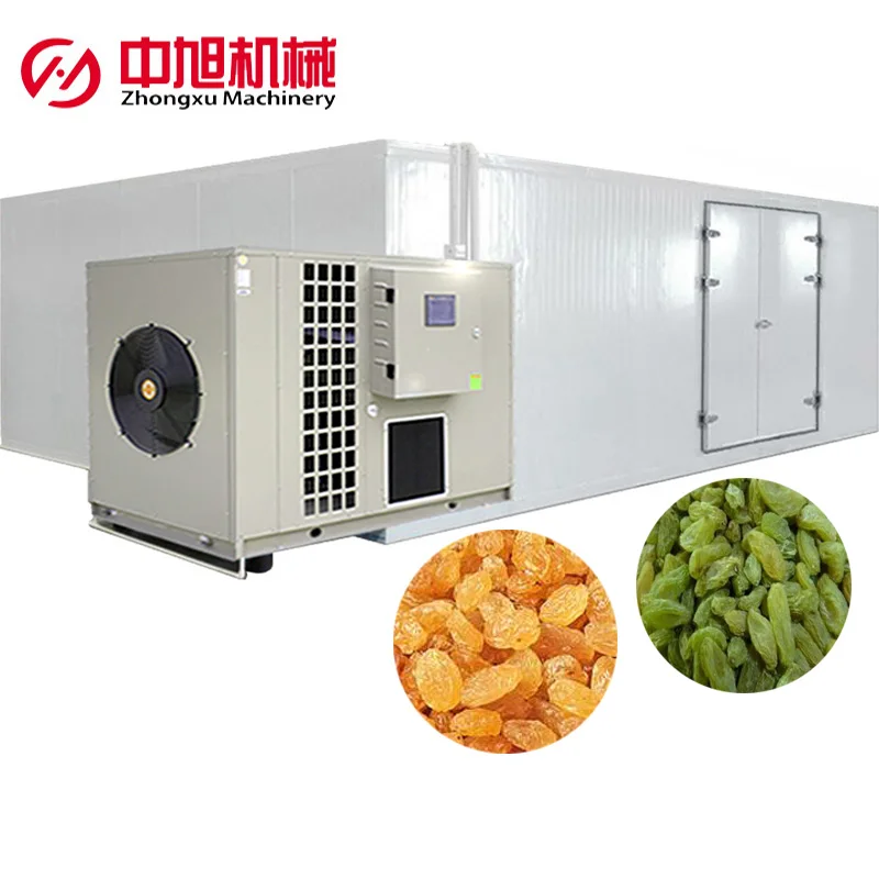 Large Capacity Machine Industrial Food Dryer Heat Pump SS 304 Automatic Ozone Room Type Lemon Raisins Grapes Drying Room