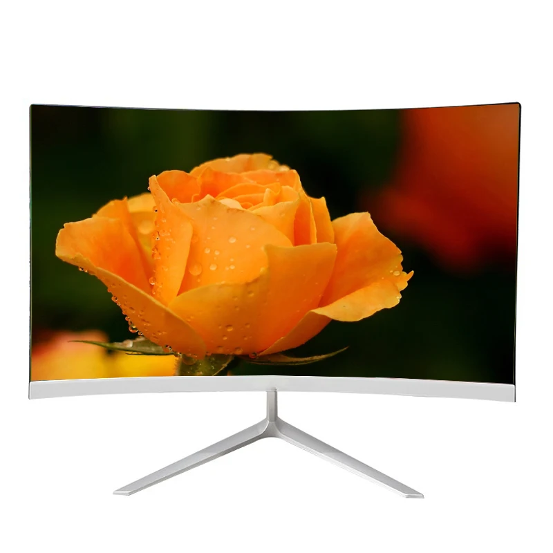 24inch PC Monitor  (5)