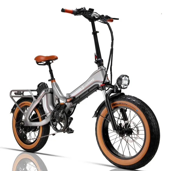 Luckeep High end Electric Folding Bicycle 750W 48V Waterproof Bicycle Powered by Electric Bike