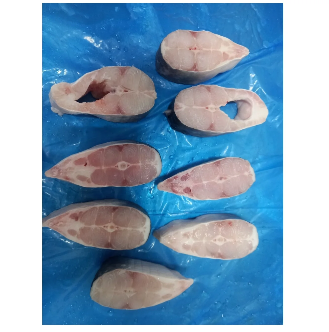 Organic Frozen Pangasius Steak/ Basa Fish Steak Wholesale