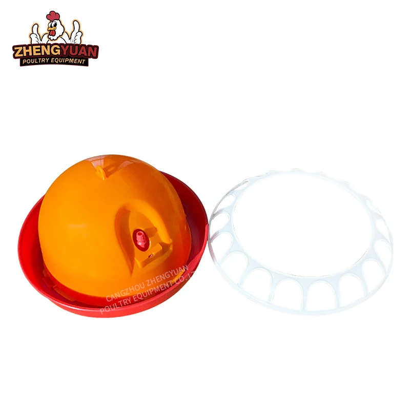automatic chick drinker Poultry Chicken Bird Quail Drinker for poultry drinking water system