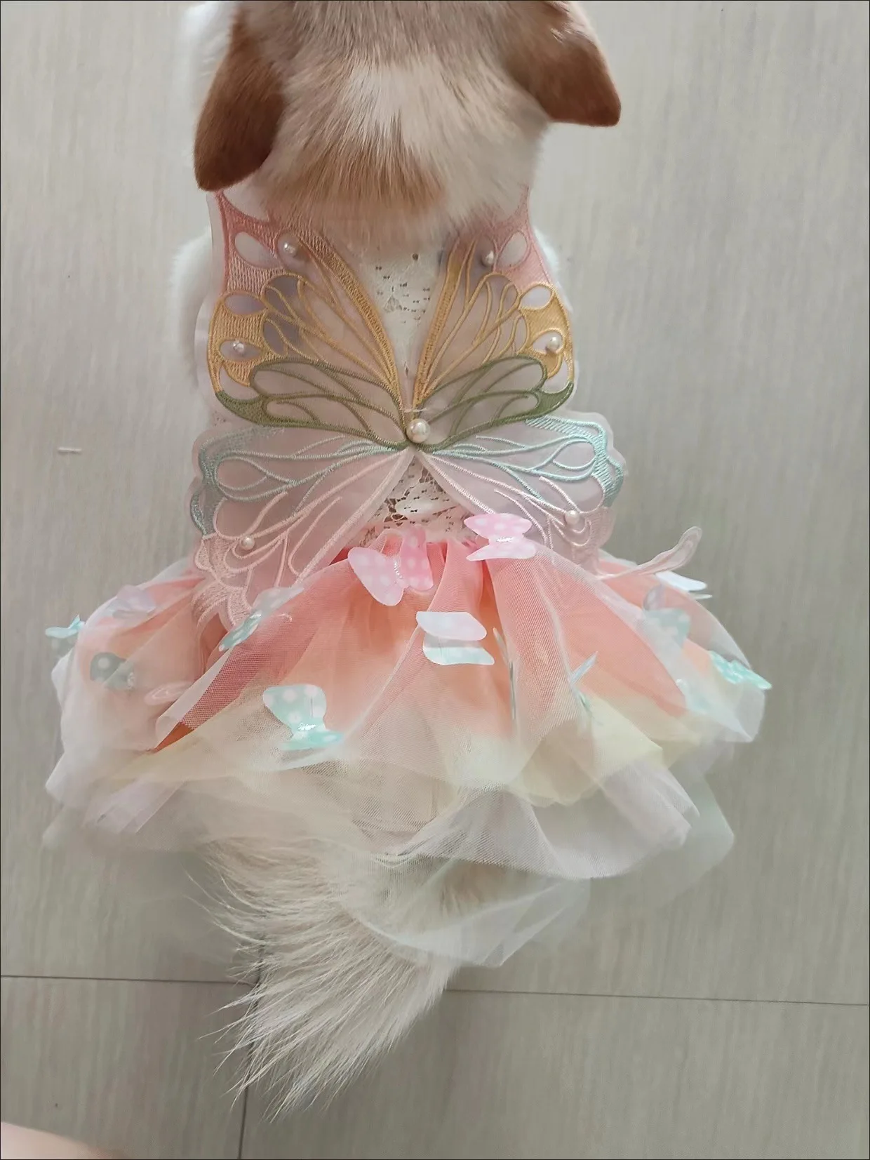Wholesale Pet Dog Clothes 2024 New Fashion Butterfly Wings Small Cooling Thin Summer Pet Cat Dog Clothes Dress
