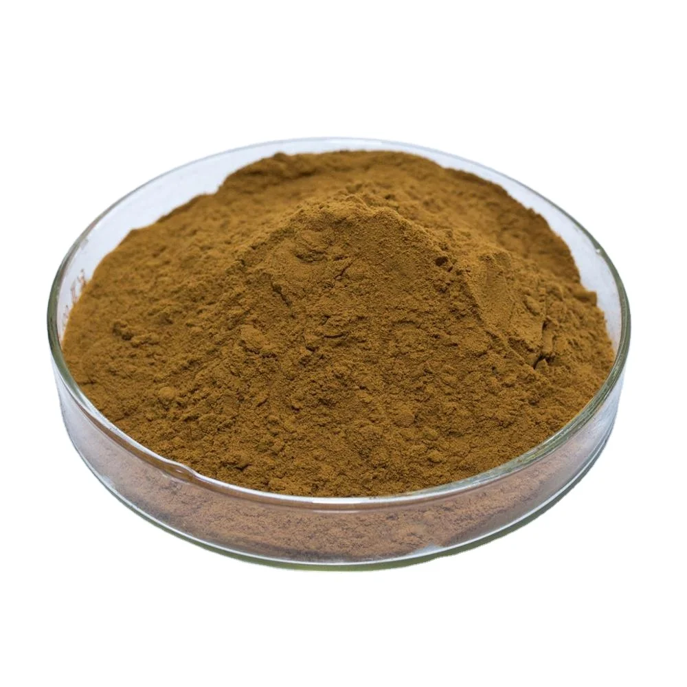 Extract Natrual Huperza Serrata Extract/Lycopodium Spore Powder/huperzine powder/Huperzine-A