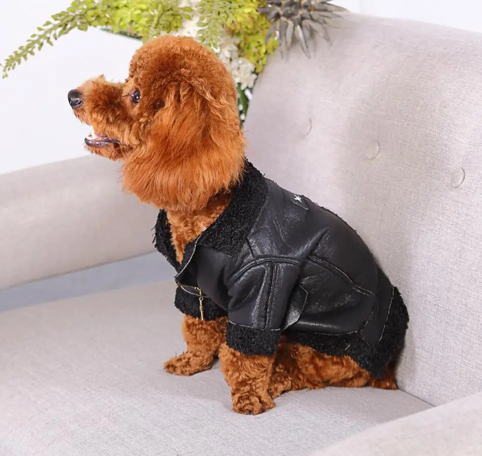 Dog Jacket for Warm Apparel Fashion Wholesale Premium Quality Teddy Velvet Design with Custom Logo for Cats and Dogs XL Size