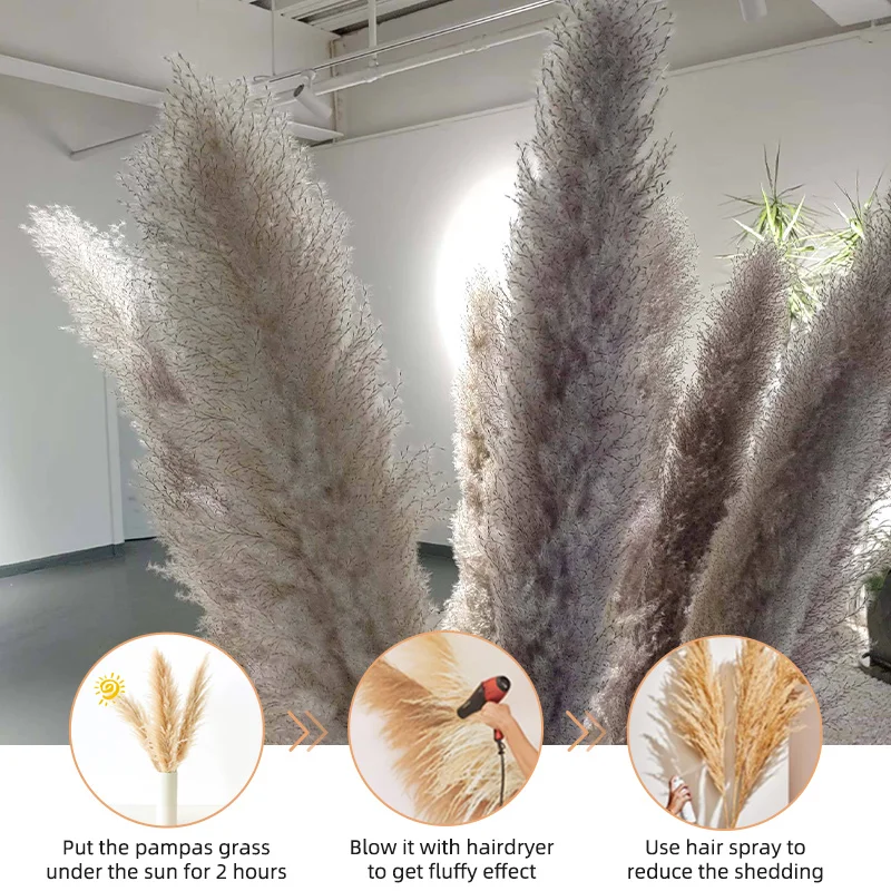 UO new arrivals natural artificial flowers large pampas gray pampas grass dried flower plume size 60cm boho decorative flowers