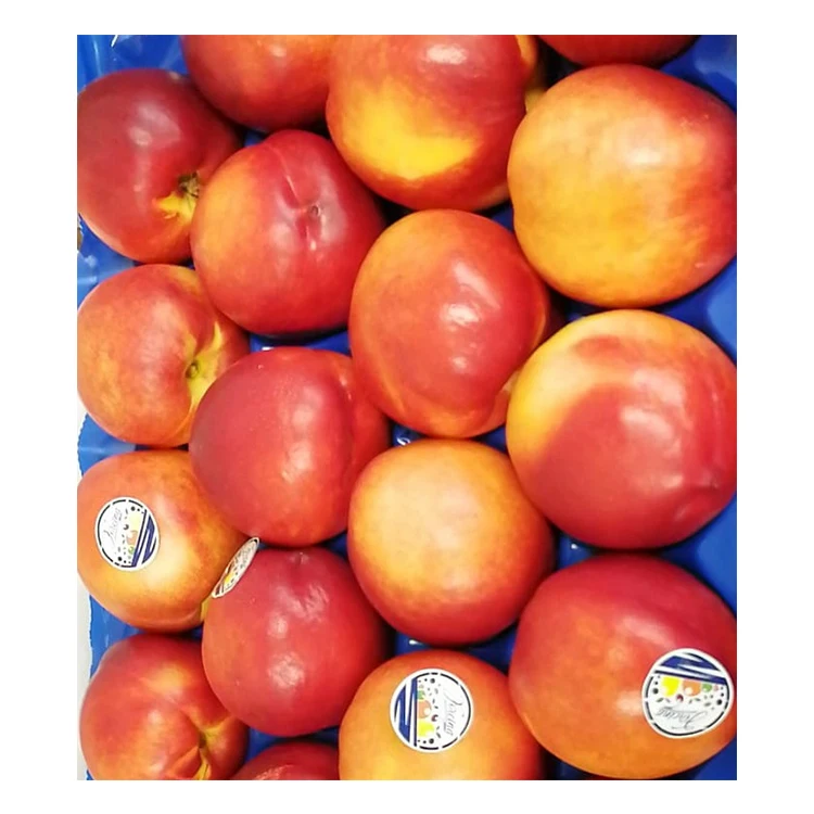 High Quality Italian Fresh Yellow Pulp Peaches Nectarine For Sale