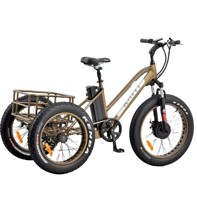 Fashion giant 3 wheel electric bicycle fat wheel bike for men 24 inch