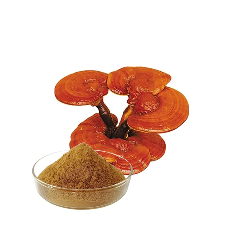 Red Reishi Mushroom Extract powder Polysaccharides 30%- 50%