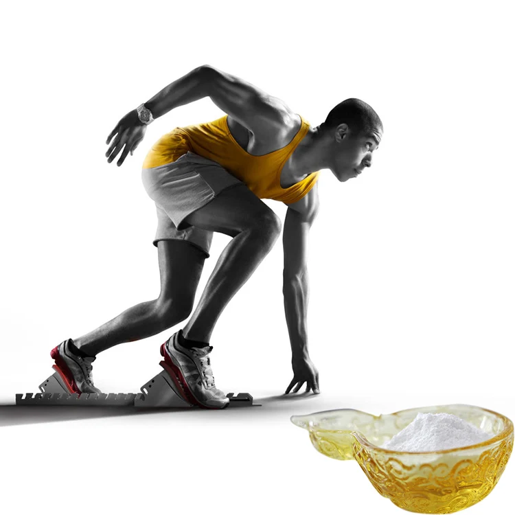 
lcarnitine for weight loss L-carnitine Fumarate 