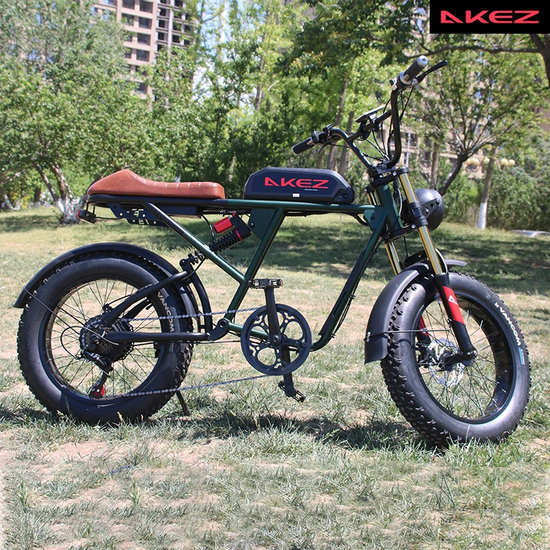 High Security Performance Smart Electric Bike for Exercise 60km Range Rear Hub Motor Disc Brake Steel Alloy Frame Mountain Style