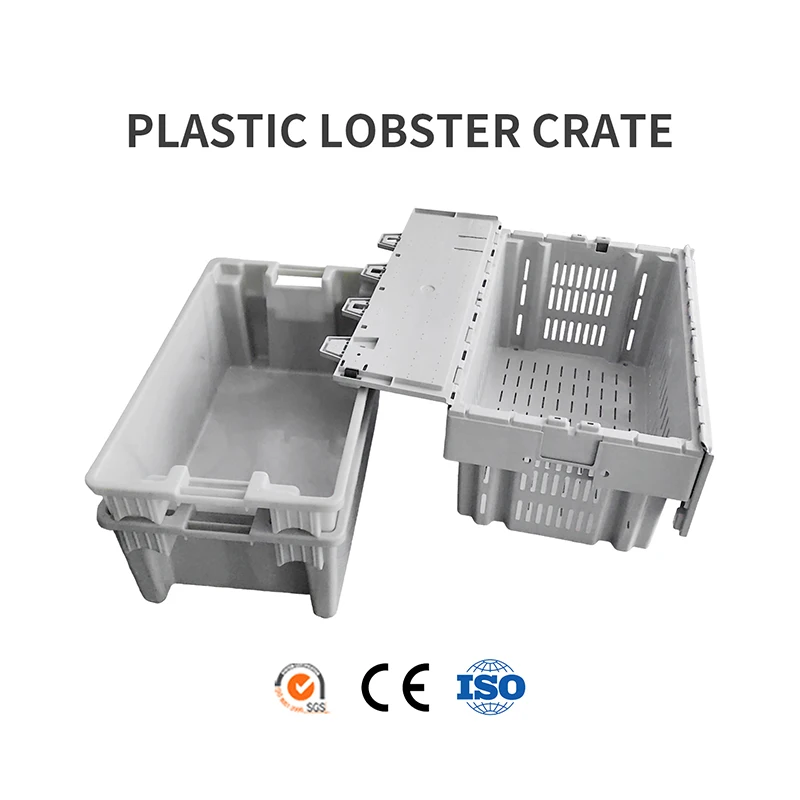 Ventilated nestablePlastic Lobster Crate made with a 100% virgin polyethylene blend to endure extreme cold