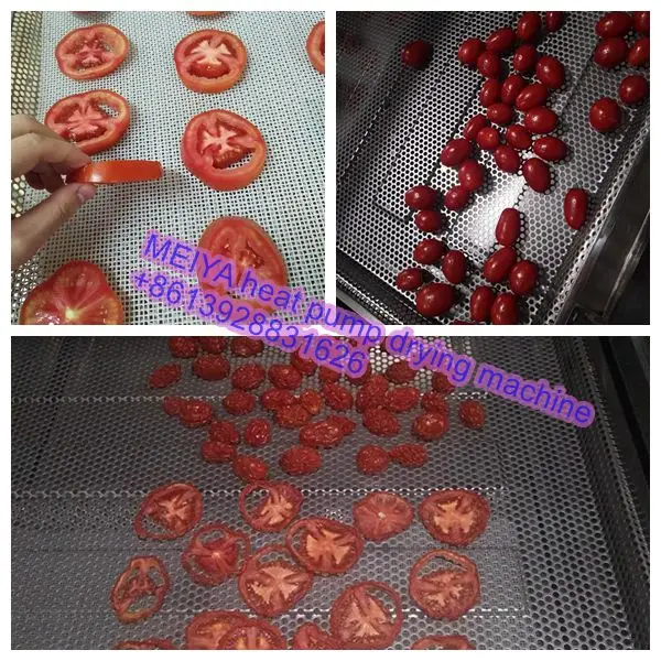 Low price chilli pepper drying machine for dried vegetable food processing equipment